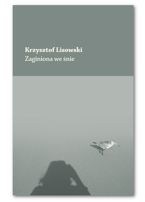 Okładka książki "Zaginiona we śnie"